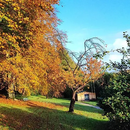 Chalé Adorable Petit Châlet Près De La Forêt Et Des Commerces