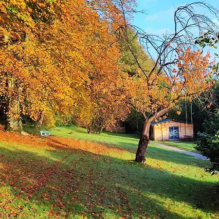 Chalé Adorable Petit Châlet Près De La Forêt Et Des Commerces *
