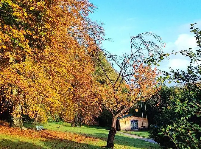 Chalet Adorable Petit Pres De La Foret Et Des Commerces